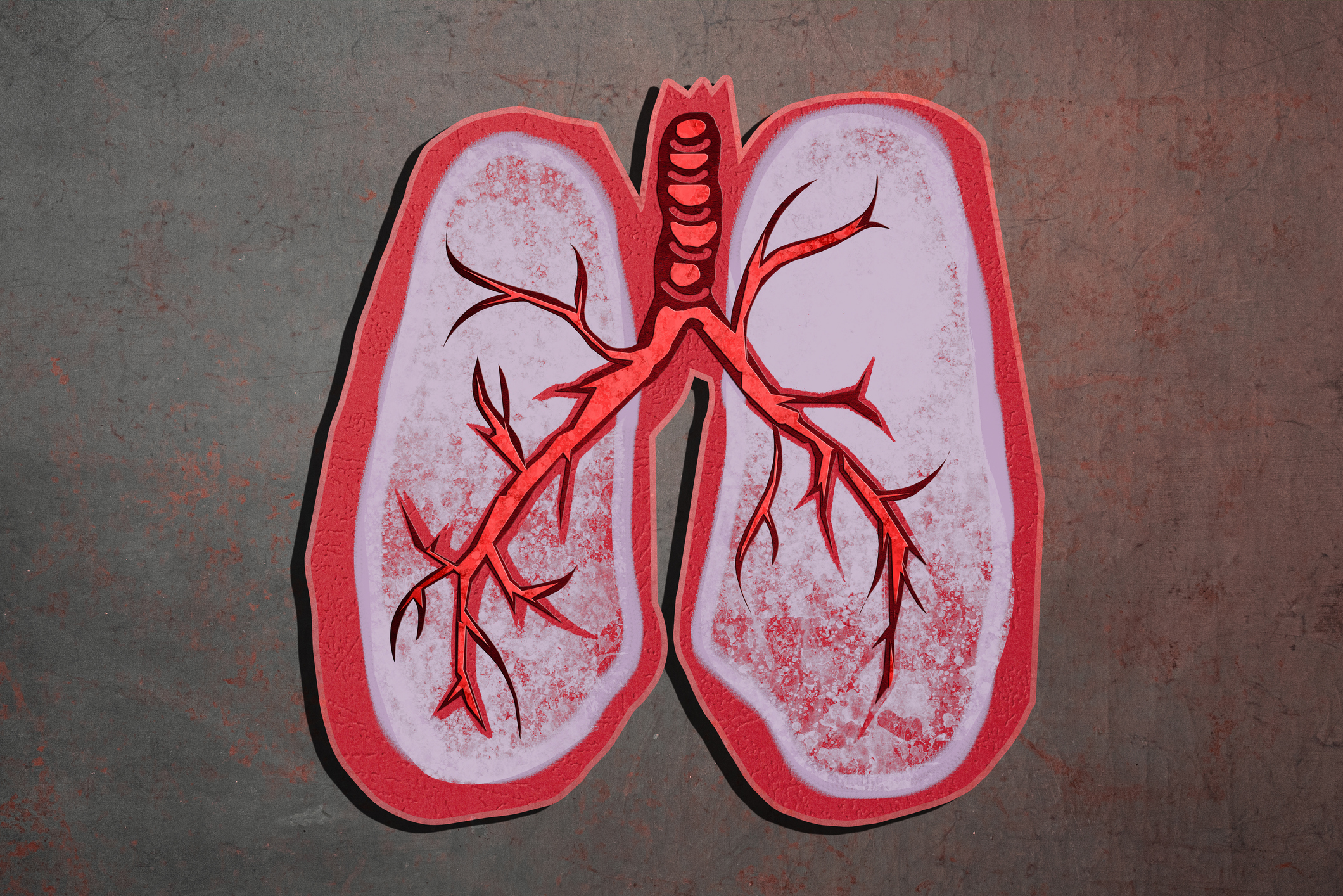 texture paper lungs over gray background