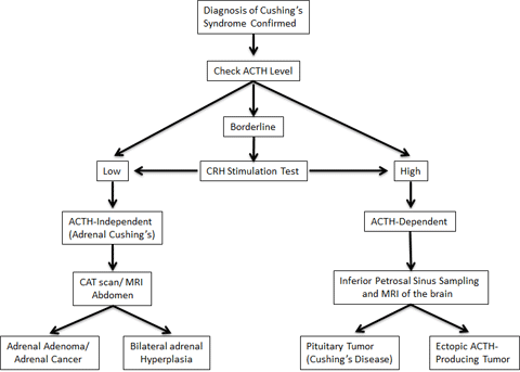 Localizing the cause of Cushing's Disease (PDF) Localizing the cause of Cushing's Disease (PDF)