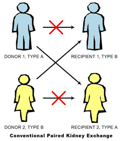 Paired Kidney Exchange