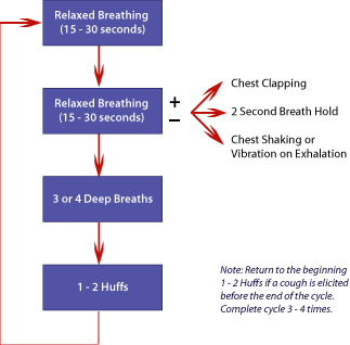 The Active Cycle of Breathing