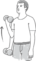 Biceps Curl