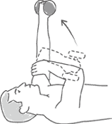 Triceps Curls