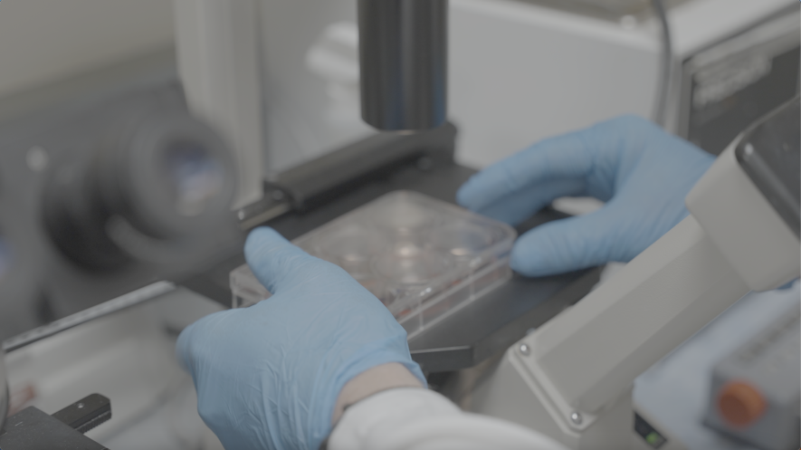 Image of researcher working on lab samples